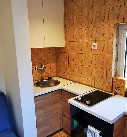 דירה Explorer Loft Luxury פודגוריצה
